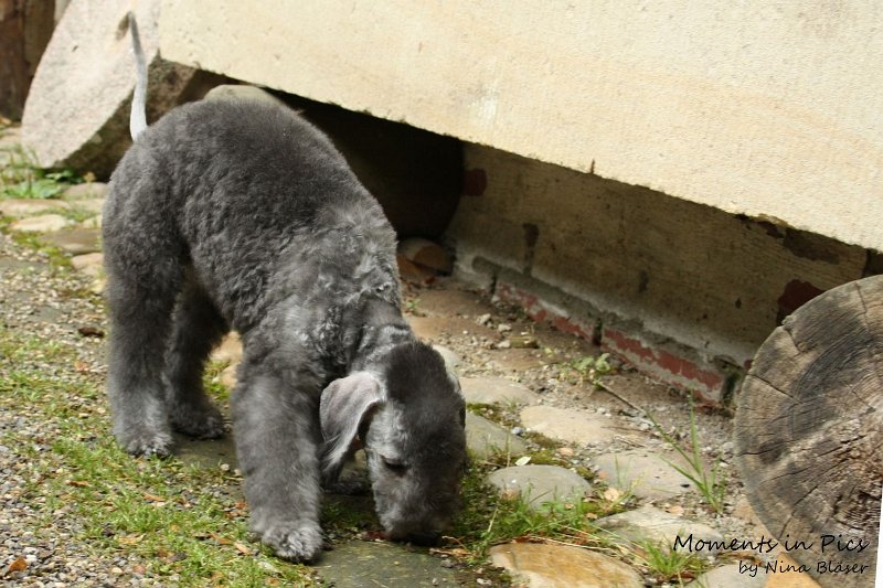 Antares 2009-08-01 & 02 (30).JPG